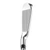 PARADYM - Image 5